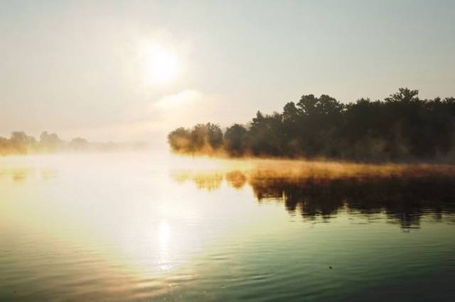 Fog: The Key To Flavour