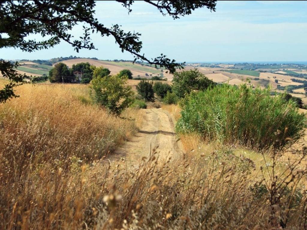 Ventricina and the Transhumance