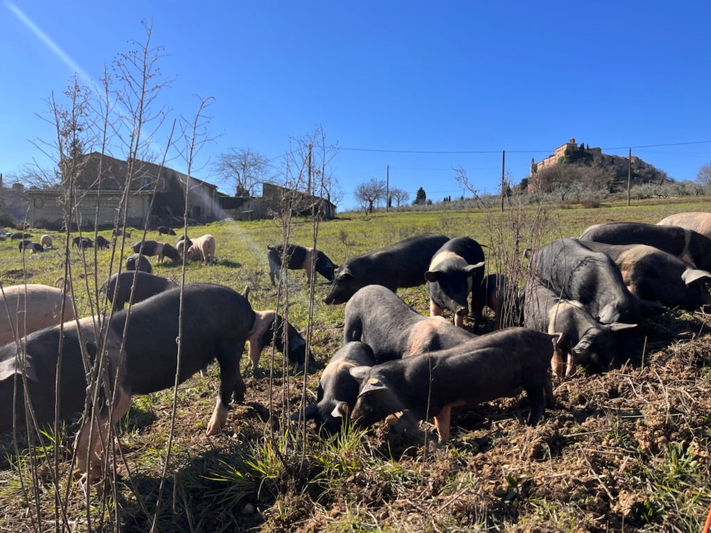 Black Pig Salame Toscano (225g Minimum)