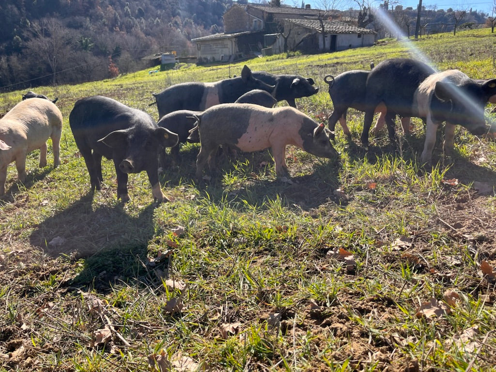 Black Pig Salame Toscano (225g Minimum)