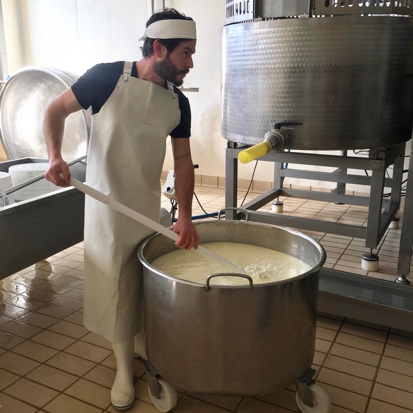 Artisan cheese maker stirs curds
