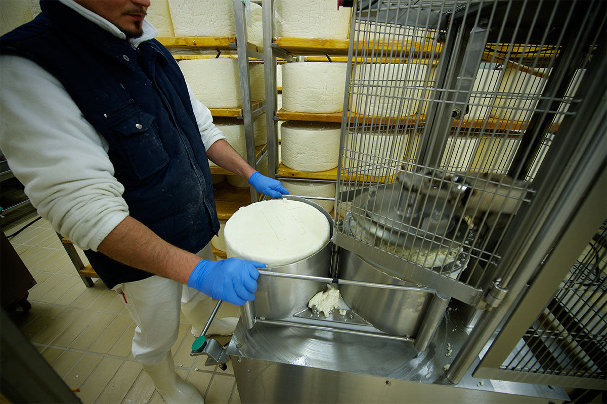 Gorgonzola Dolce Cheese (2 sizes)