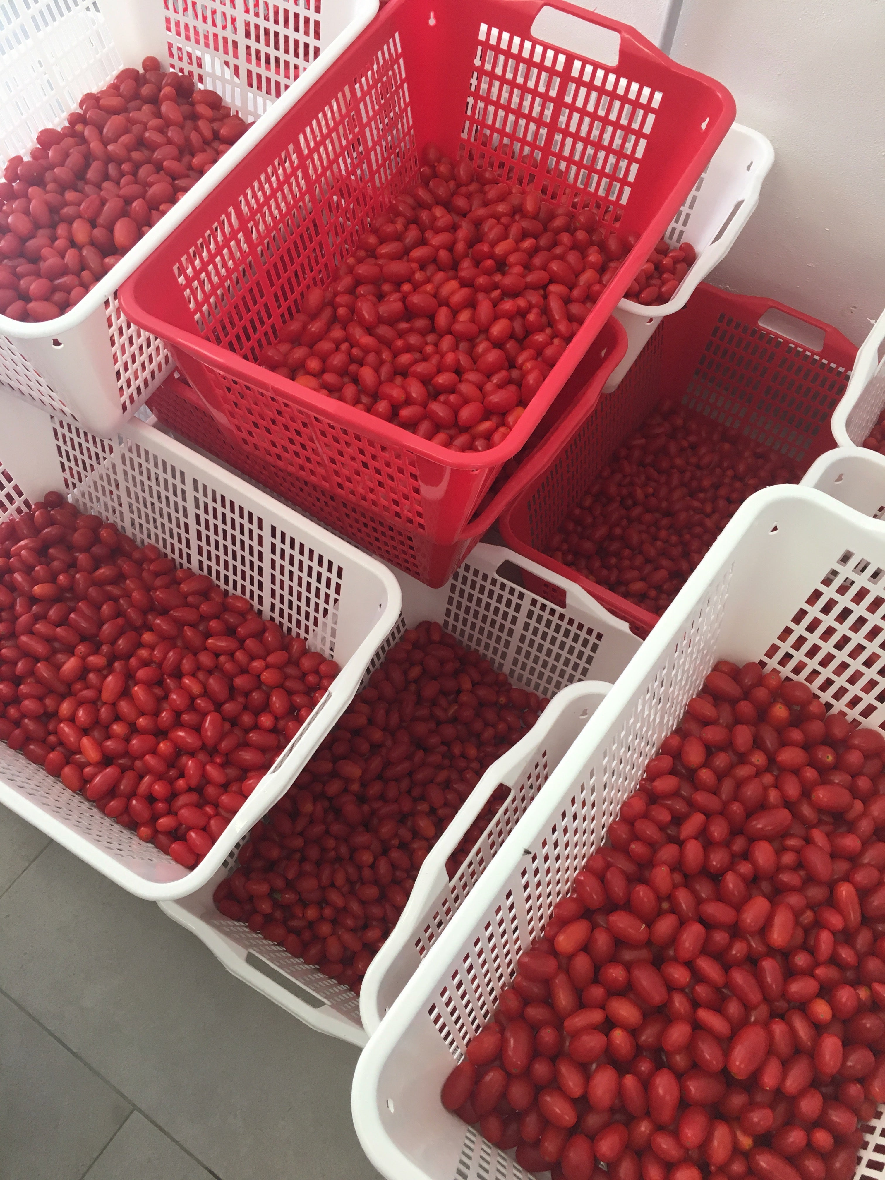 Tomato Passata With Whole Datterini Tomatoes 300g