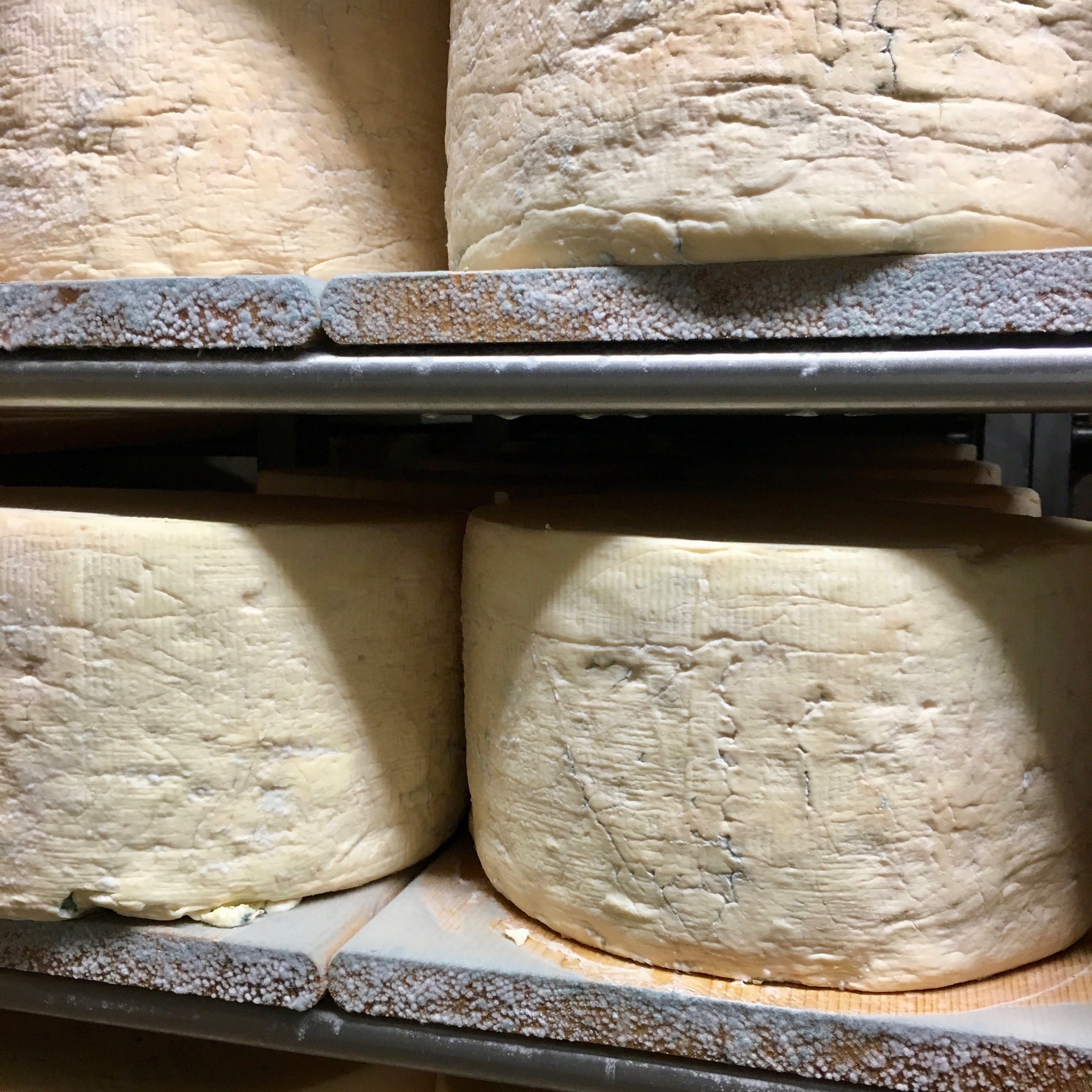 Gorgonzola Dolce Cheese (2 sizes)