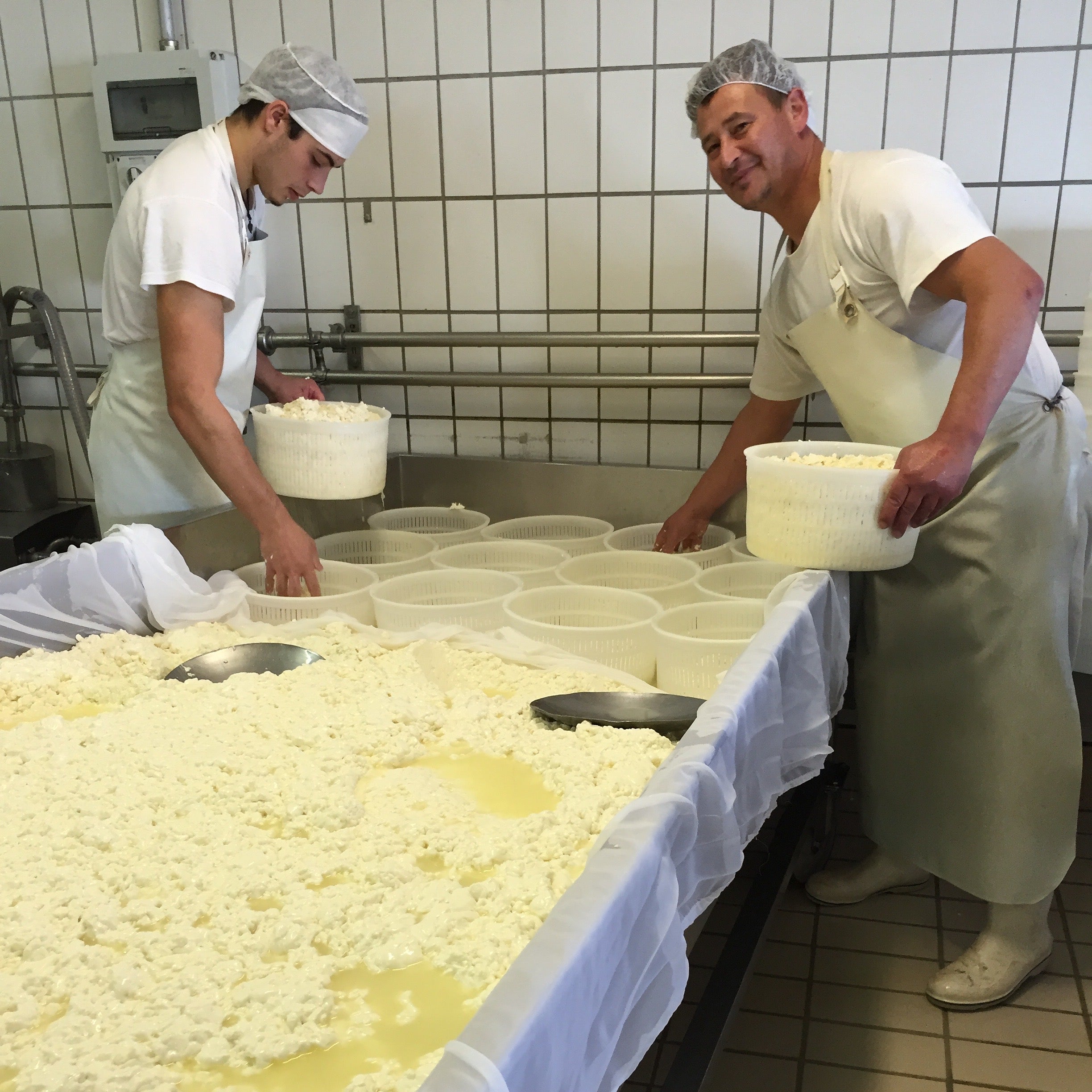 Taleggio Cheese (3 sizes)