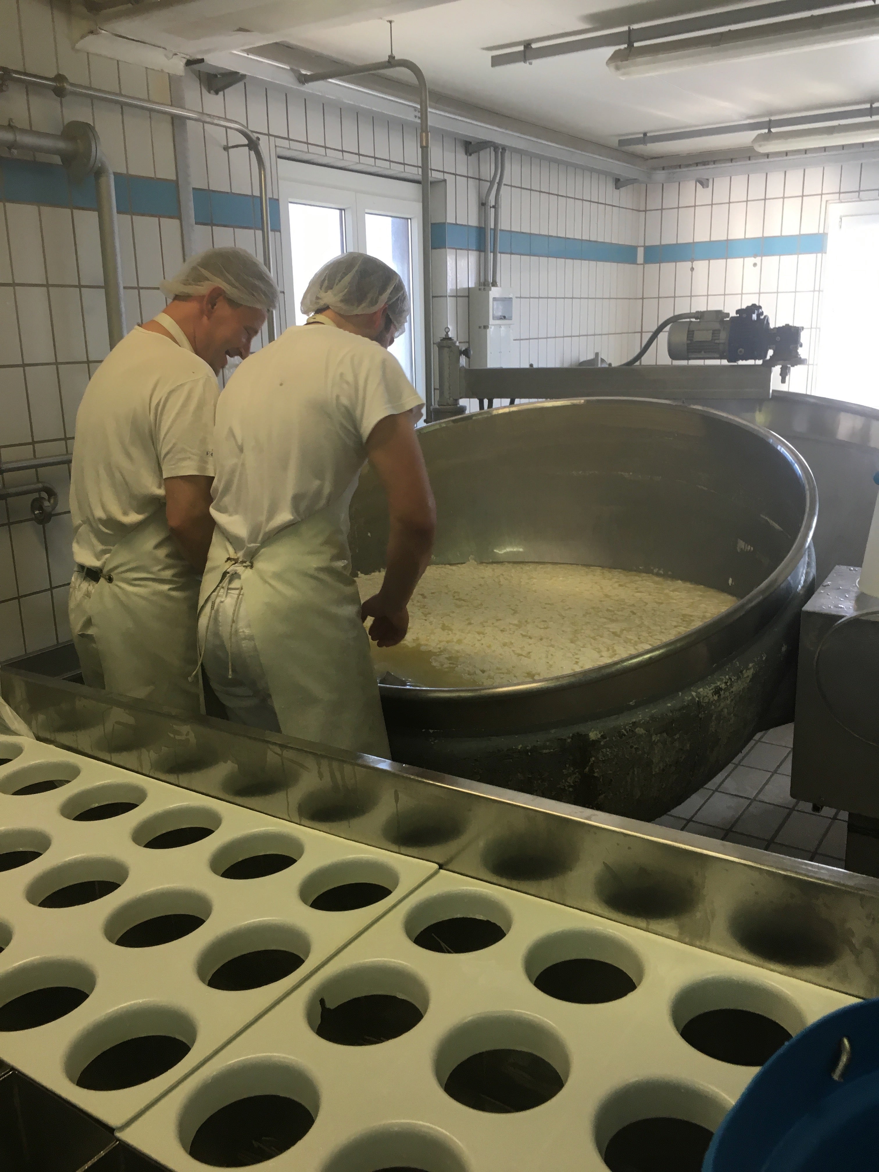Taleggio Cheese (3 sizes)