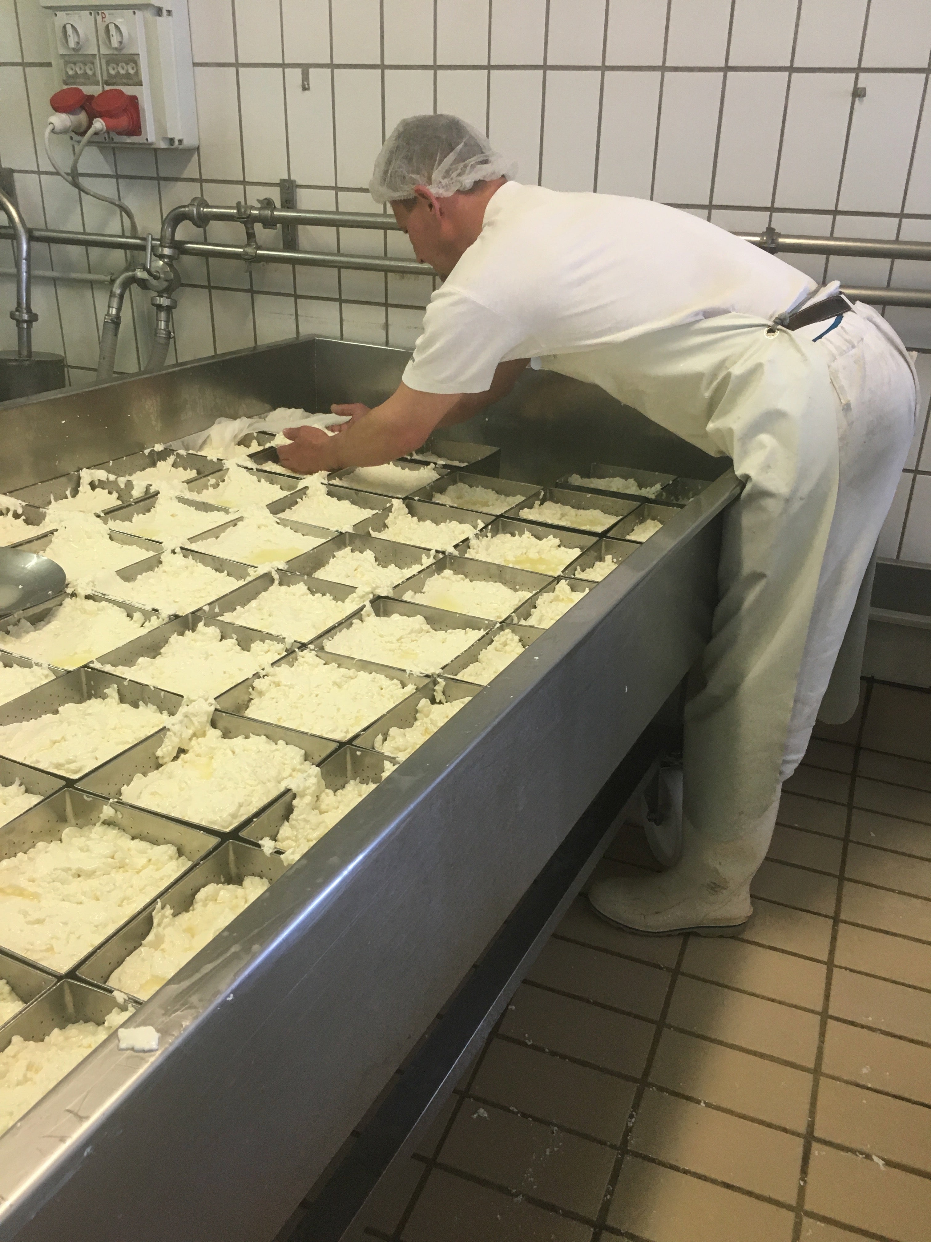 Taleggio Cheese (3 sizes)