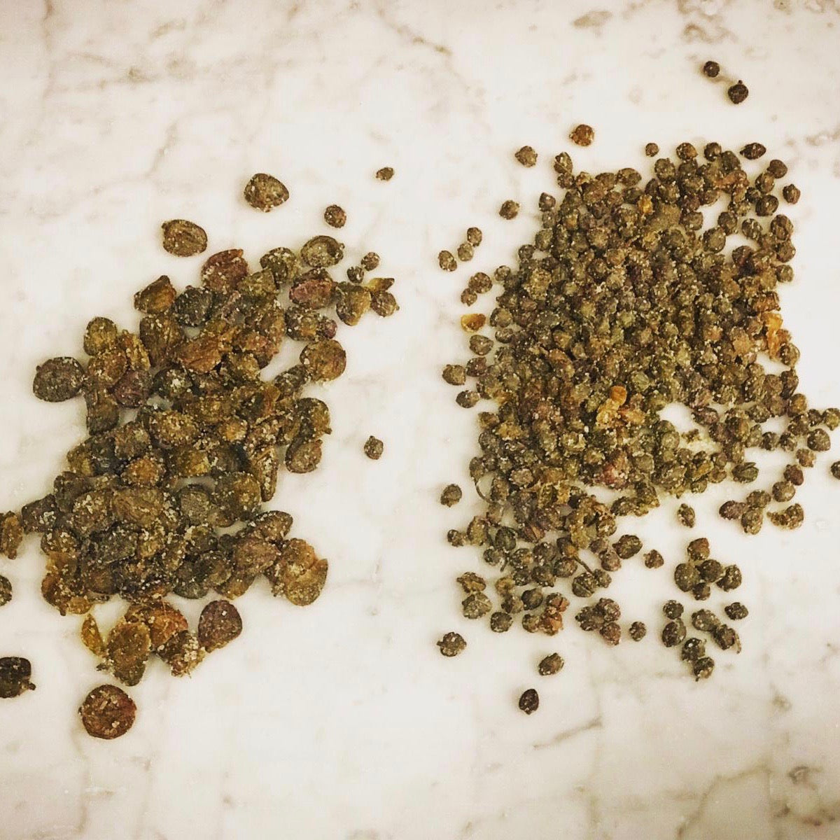 Large Salina Capers in Salt (250g)