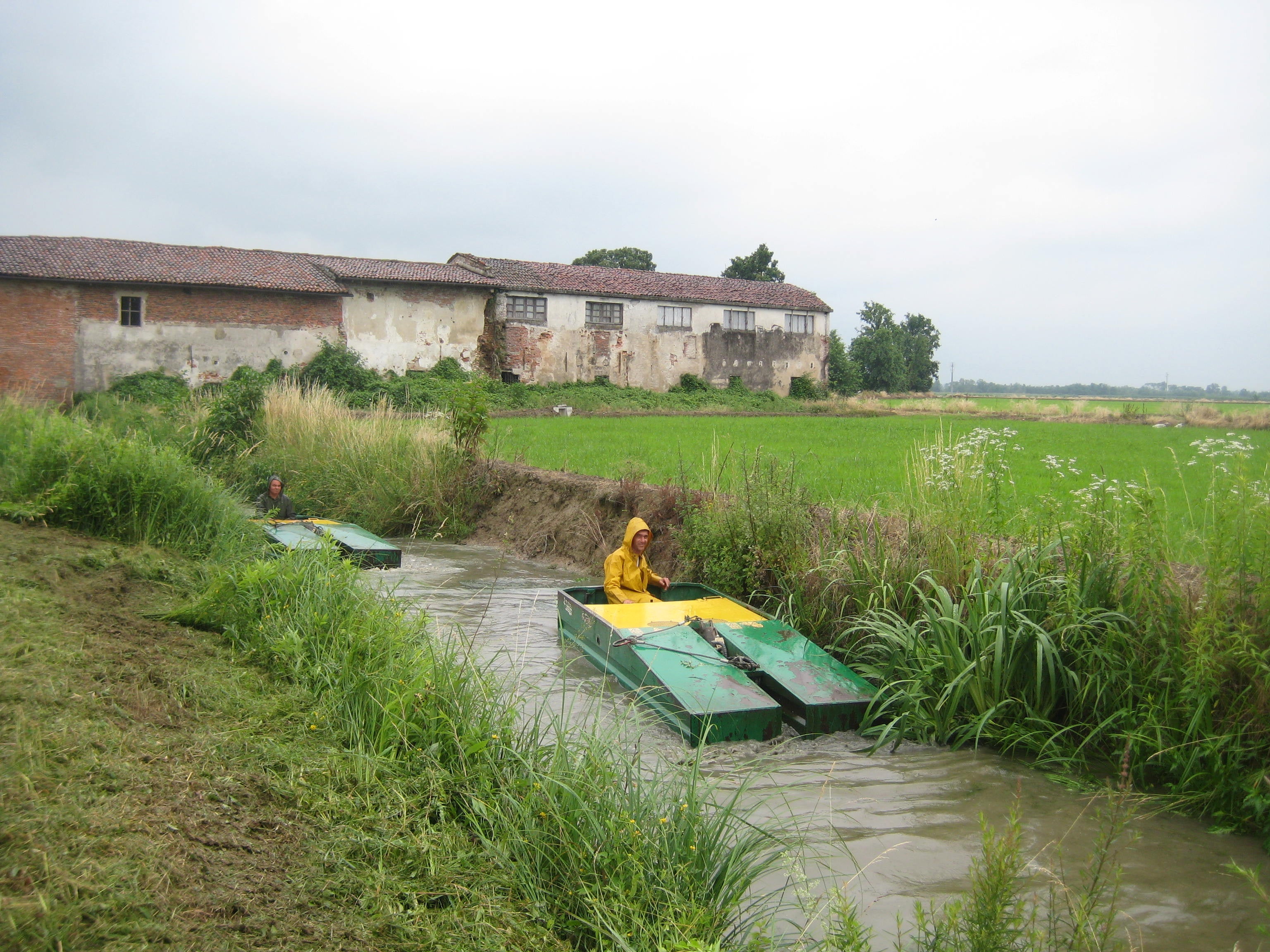 Carnaroli Rice (1kg)