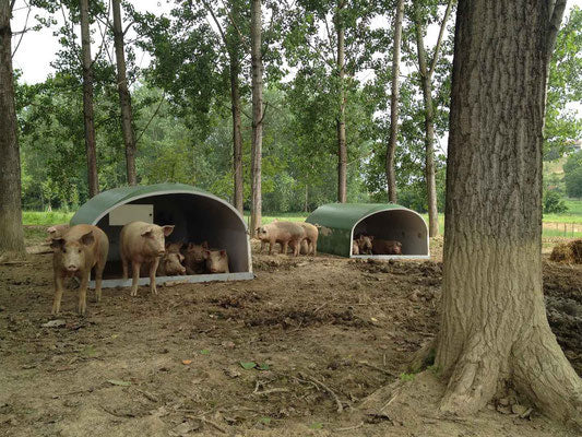 Salame della Rosa (2 sizes)
