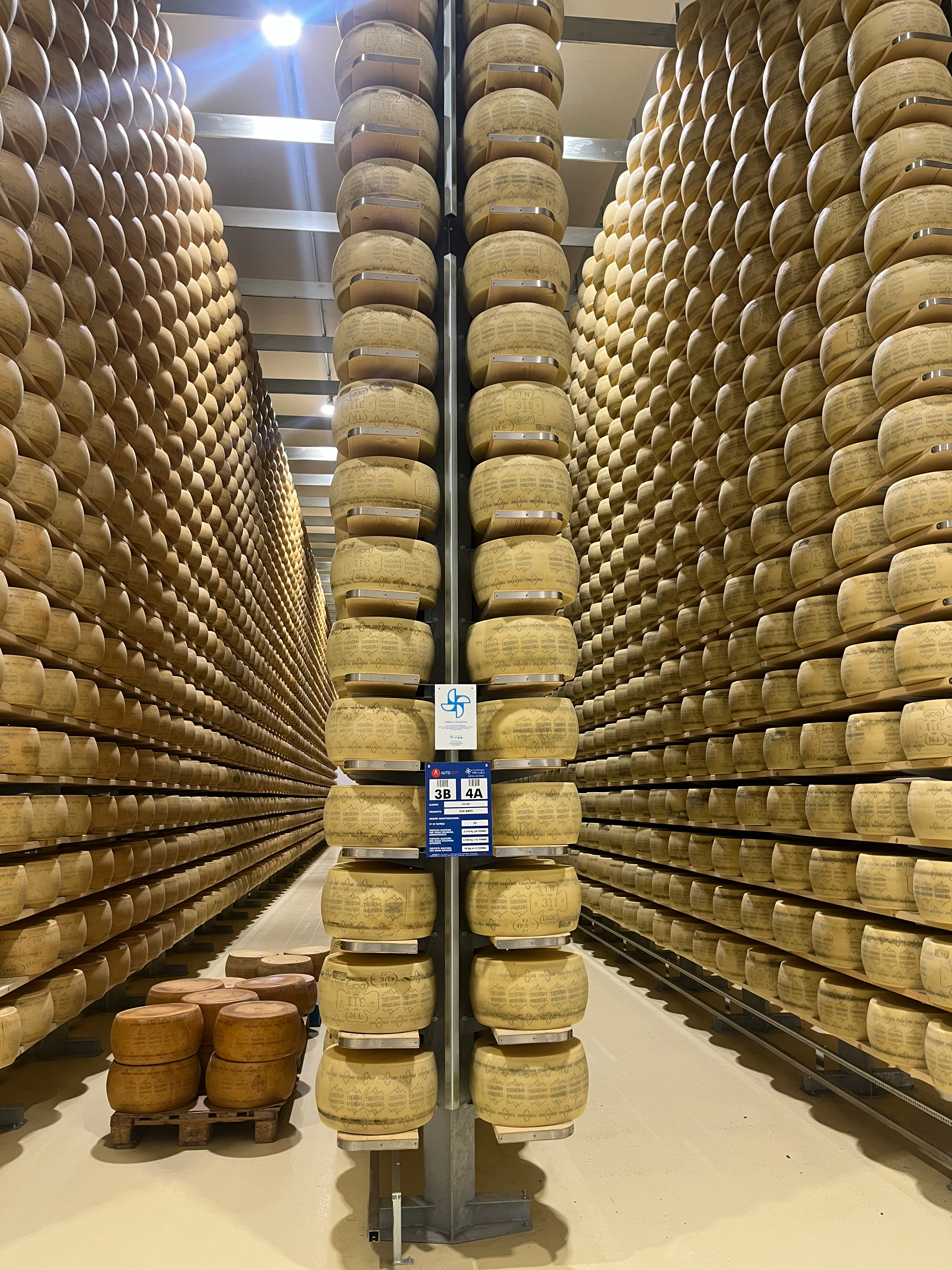 24 Month Trentingrana Cheese (3 sizes)