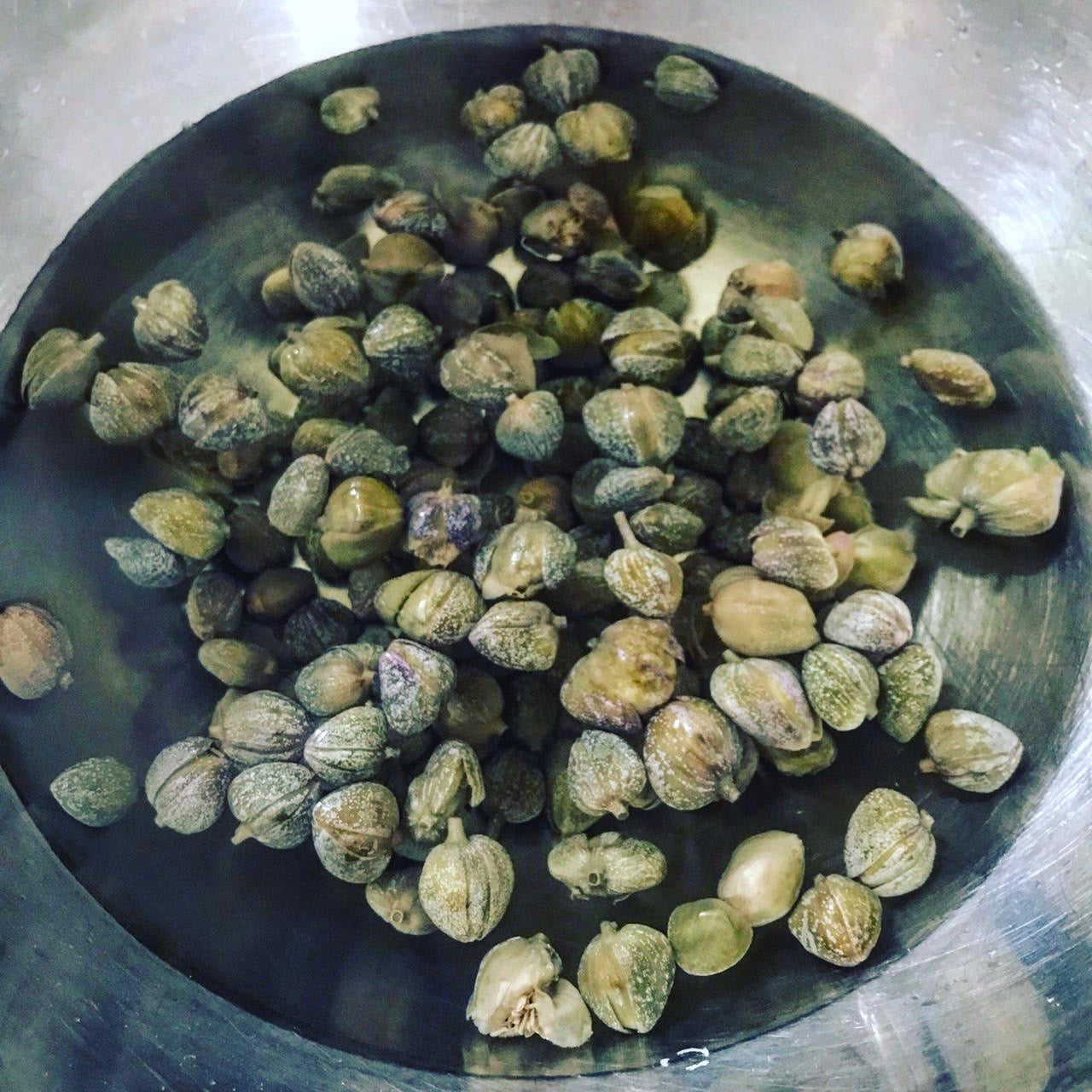 Small Salina Capers in Salt (250g)