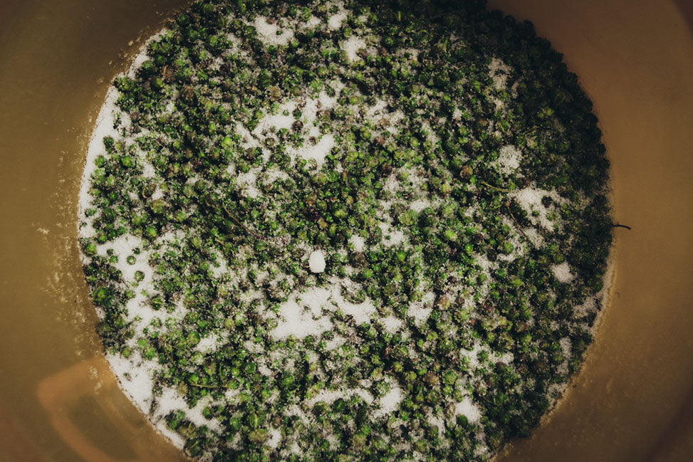 Small Salina Capers in Salt (250g)